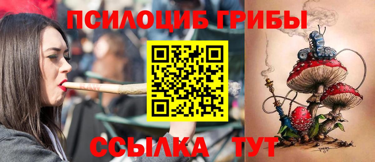 Абакан  Псилоцибиновые грибы прущие грибы  Вход с VPN  Галлюциногенные грибы Psilocybine cubensis 