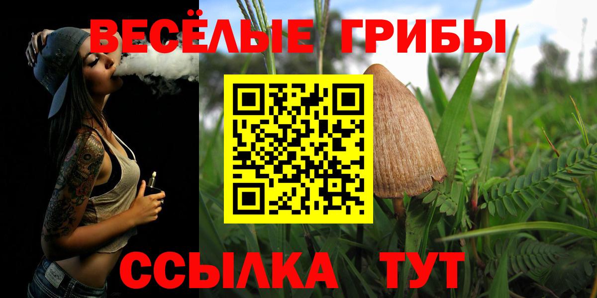 Галлюциногенные грибы ЛСД Абакан